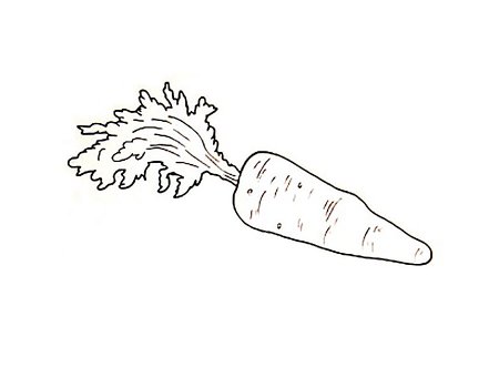 Морковь раскраска