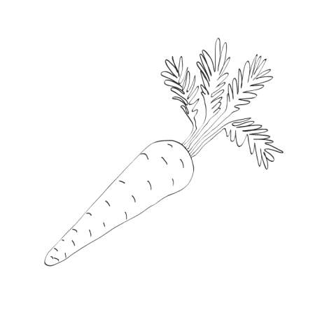 Раскраска морковь огурец помидор капуста