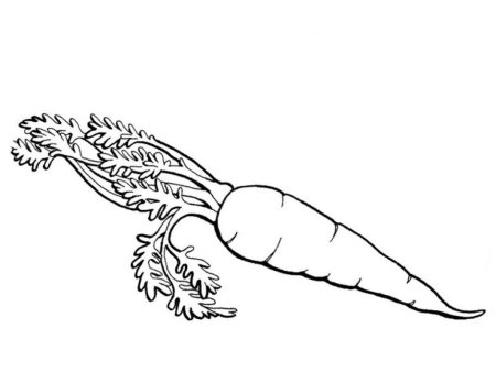 Морковь раскраска для детей