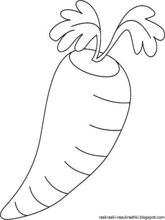 Морковь для срисовки