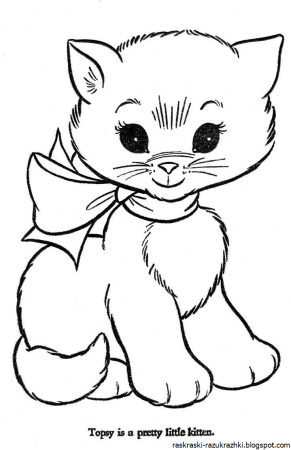 Котик раскраска для детей