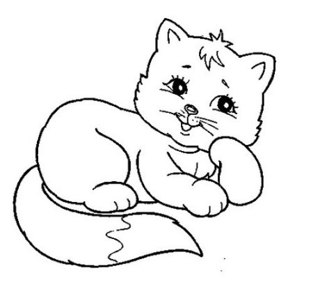 Кот раскраска для детей