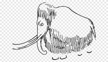 Мамонт Графика