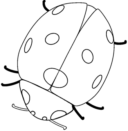 Божья коровка раскраска