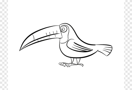 Тукан птица раскраска