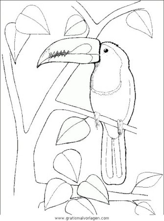 Тукан раскраска для детей распечатать