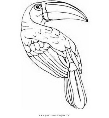 Тропические птицы раскраска