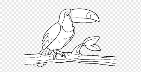 Тукан контур