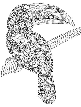 Птичка раскраска для детей