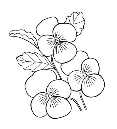 Цветы. Раскраска