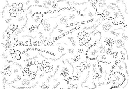 Бактерии раскраска