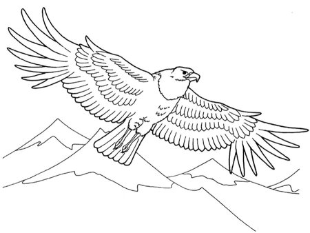 Орел раскраска для детей