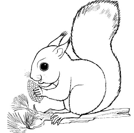 Булочка раскраска для детей