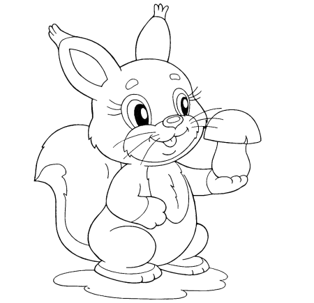 Белка раскраска для детей