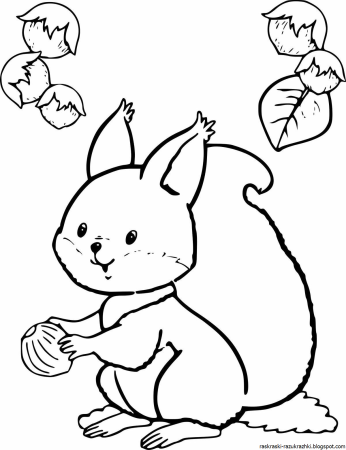 Раскраска Белочка