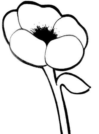 Раскраска Мак цветок