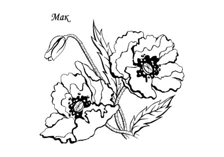 Трафареты цветов для рисования