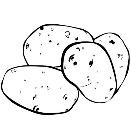 Картофель раскраска