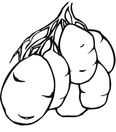 Картошка раскраска для детей