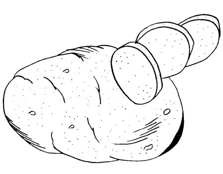 Картофель раскраска