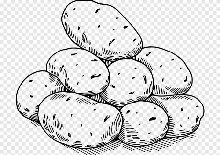 Раскраска овощи картошка