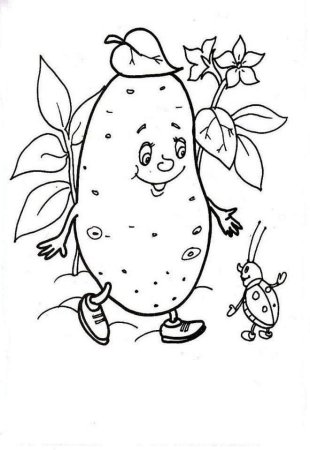 Картофель раскраска