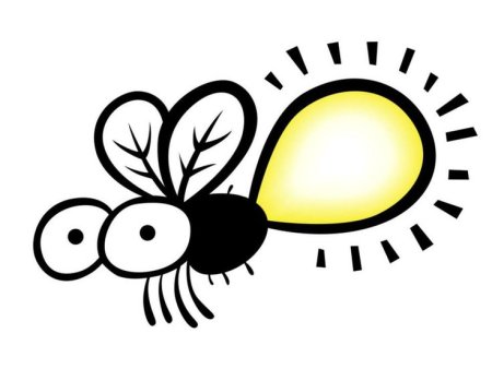 Светлячок насекомое