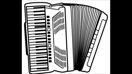 Баян рисунок