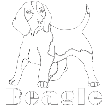Раскраска собака Бигль щенок