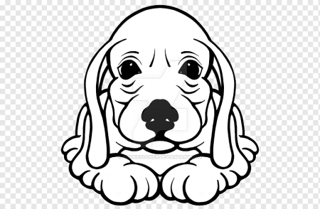 Бигль собака