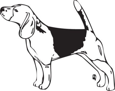 Бигль вектор черно белый