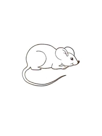 Раскраска мышонок
