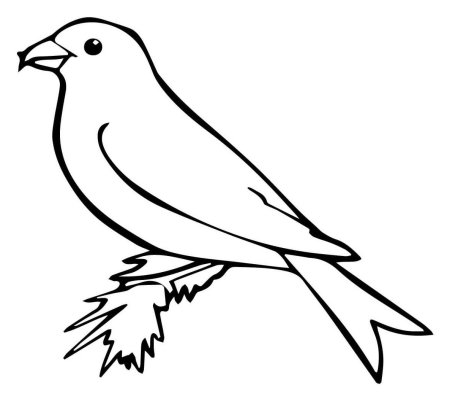 Бюро лесных услуг Николай Сладков