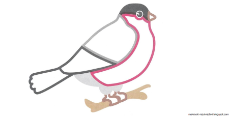 Снегирь раскраска для детей