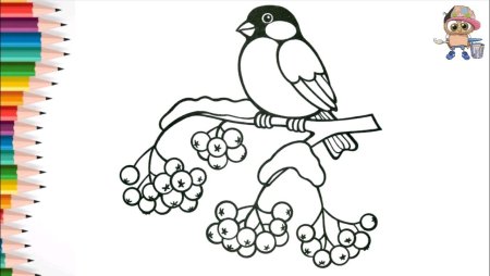 Снегирь раскраска