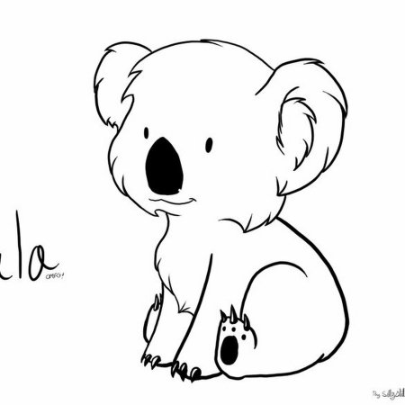 Коала контур