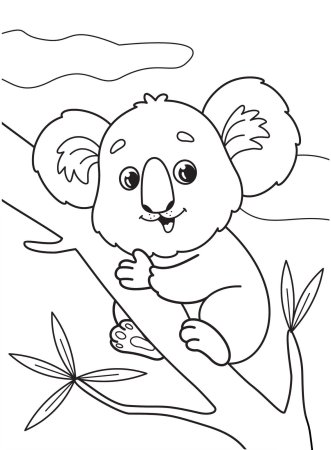 Коала контур