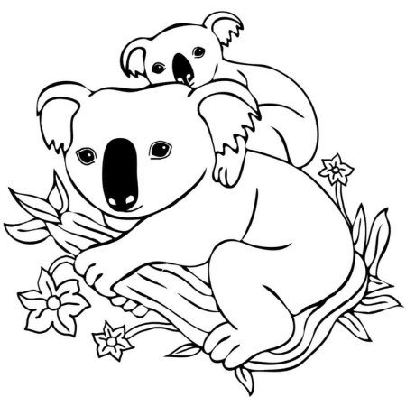 Коала. Раскраска