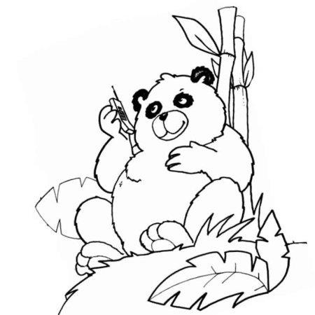 Панда раскраска для детей