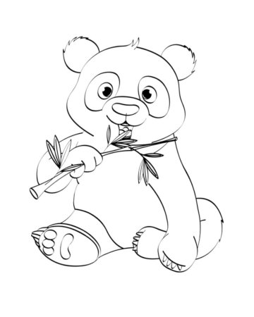 Раскраска Панда