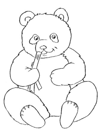 Раскраска Панда