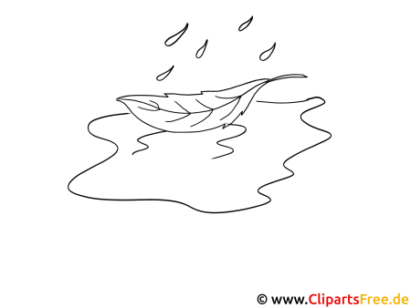 Лужа контур