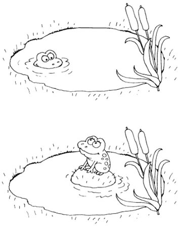 Лужа раскраска для детей