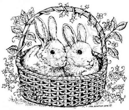 Мордочка зайчика