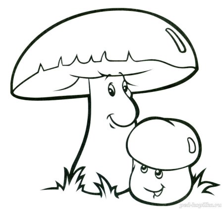Гриб раскраска