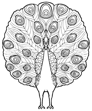 Павлин раскраска для детей