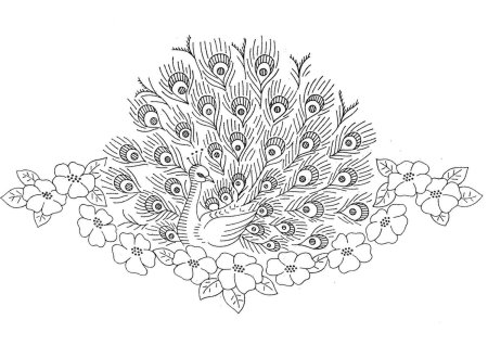 Павлин. Раскраска