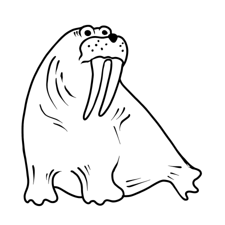 Атлантический морж раскраска