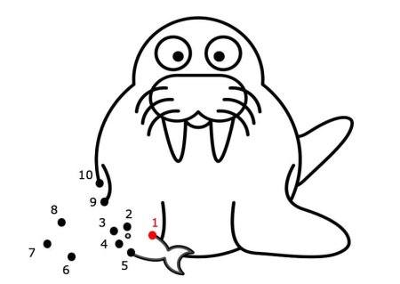 Морж раскраска