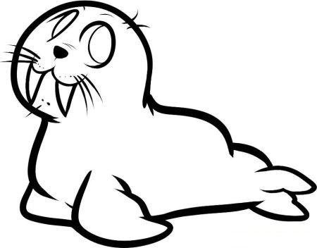 Раскраска животные севера